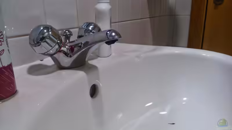 Chlor im Leitungswasser: Was tun als Aquarianer?