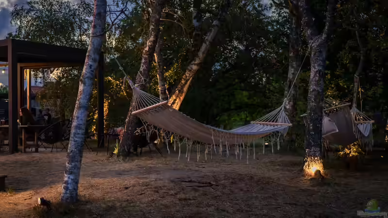 Cocooning - Der große Guide für ein gemütliches Zuhause und Gartenleben