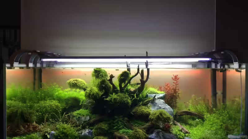 Conquest of Paradise Conquest of Paradise