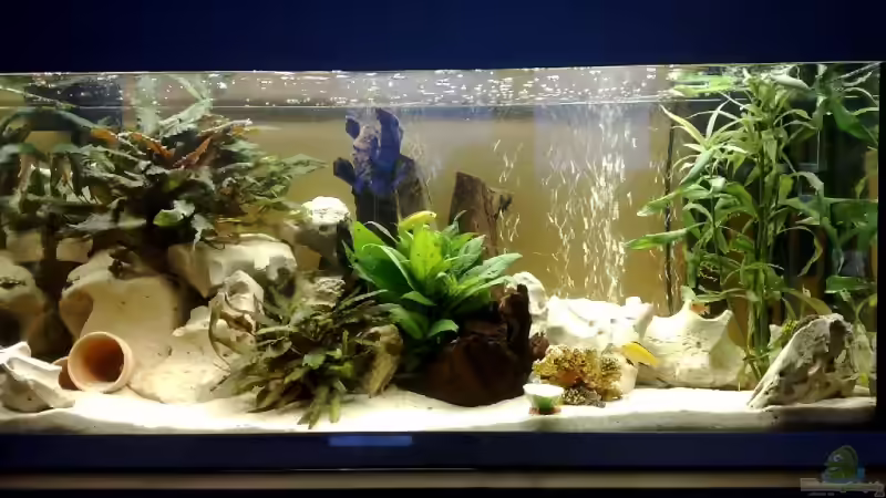 Da is es, nach Infos und hunderten Seiten blättern bei Einrichtungsbeispiele, hoffentlich angenehm für die Bewohner!! Da is es, nach Infos und hunderten Seiten blättern bei Einrichtungsbeispiele, hoffentlich angenehm für die Bewohner!!