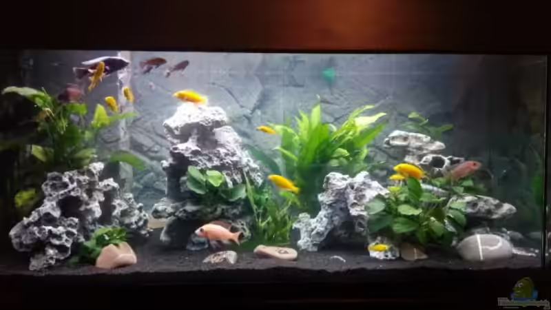 da ist Bewegung drin... da ist Bewegung drin...