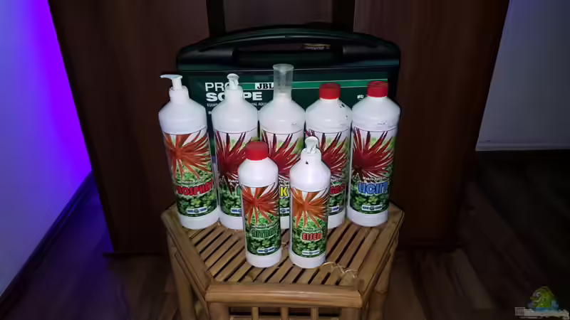 Darum brauchen Aquarienpflanzen unbedingt einen Eisendünger