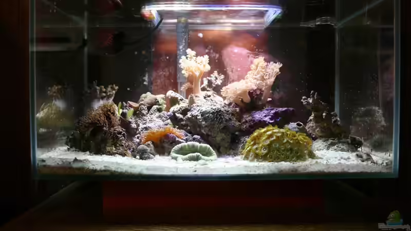 Das aktuelleste ohne die neue SPS und LPS Das aktuelleste ohne die neue SPS und LPS