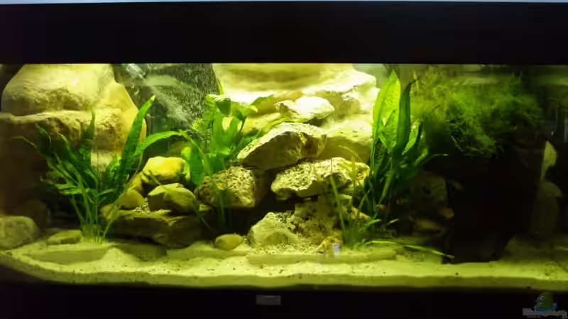 Das Becken... Das Becken...