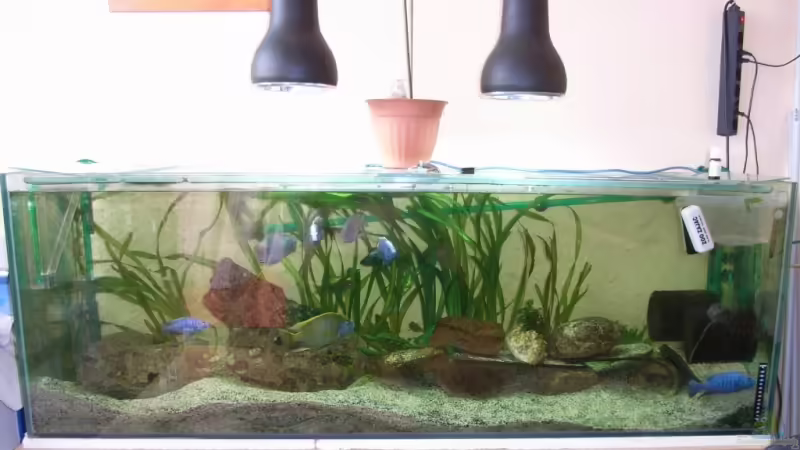 Das Becken Das Becken