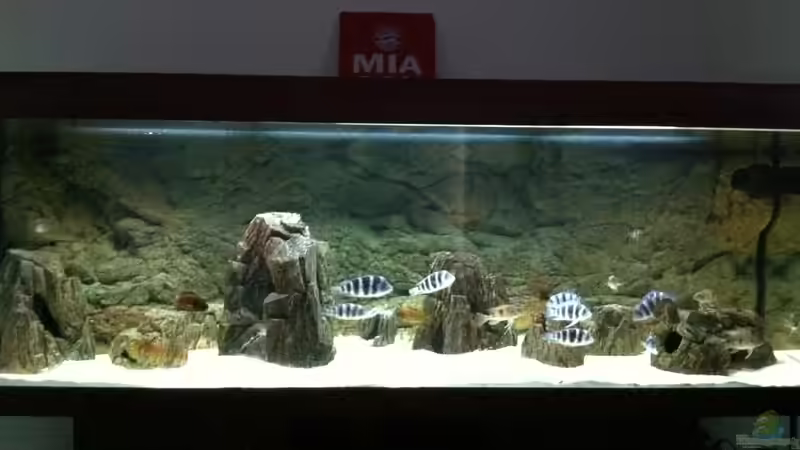 Das Becken 200x80x60 Das Becken 200x80x60