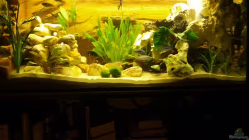 Das Becken in voller Pracht Das Becken in voller Pracht