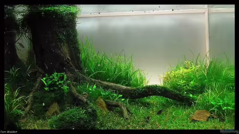 Das Becken nach ca einem Jahr Das Becken nach ca einem Jahr