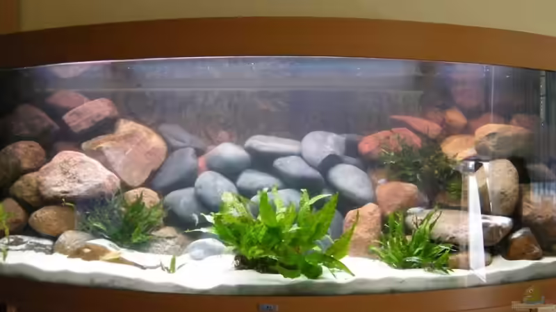 Das Becken nach Totalumbau ! Das Becken nach Totalumbau !