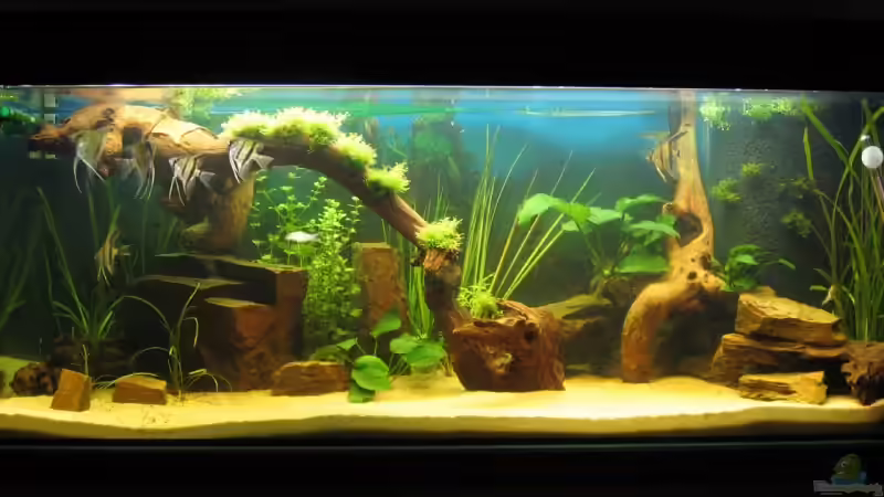 Das Becken von Anna und Christian Das Becken von Anna und Christian