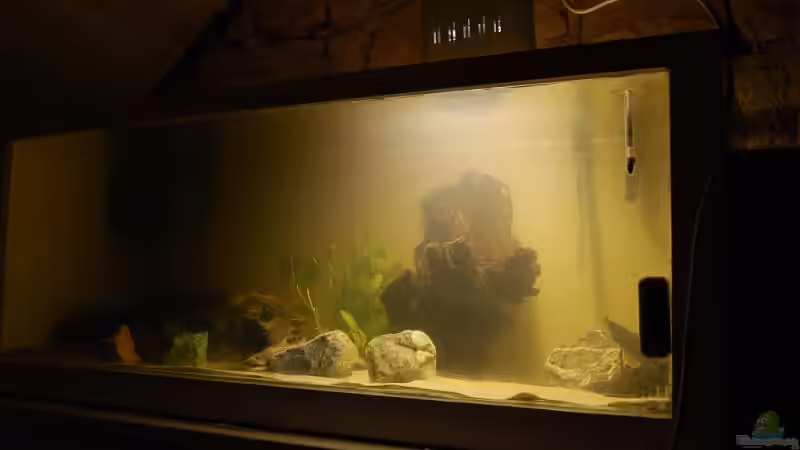 Das Becken Das Becken