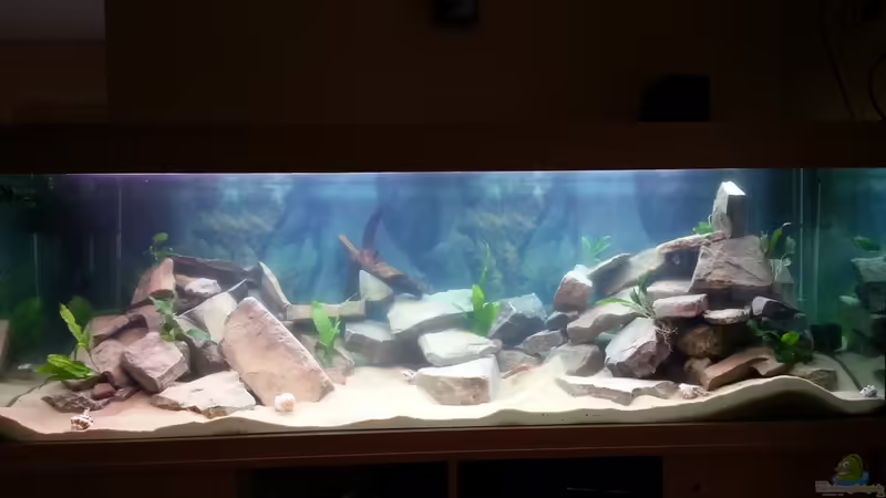 Das Becken Das Becken