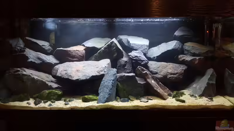 Das Becken Das Becken