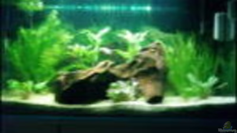 Das Bild ist schon etwas älter Das Bild ist schon etwas älter