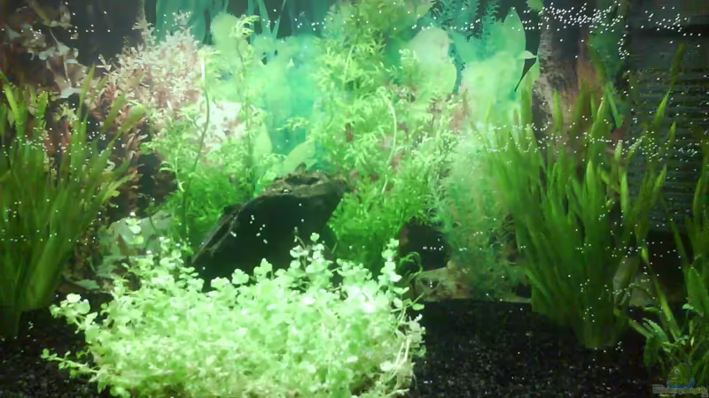 Das Bild zeigt die erste Beckeneinrichtung Das Bild zeigt die erste Beckeneinrichtung