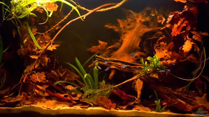 Das Endergebnis Das Endergebnis