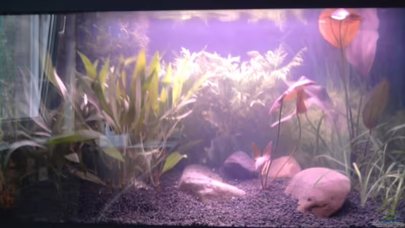 Das erste Bild! Das erste Bild!