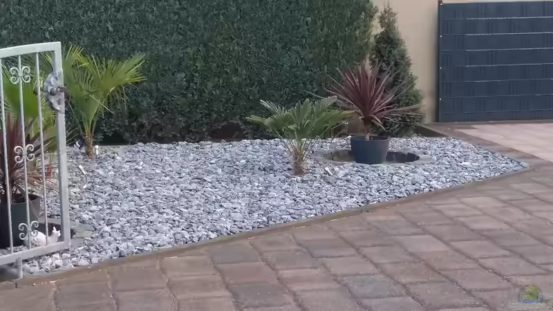 Das Grauen rund ums Eigenheim: Der Schottergarten