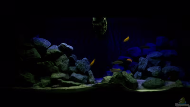 Das Heimkino Das Heimkino