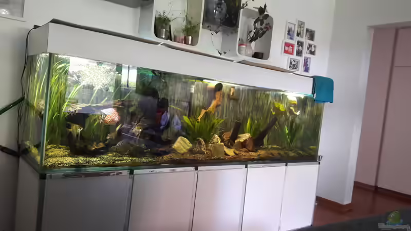 Das ist es :) Das ist es :)