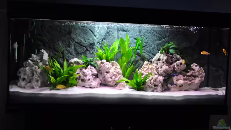 Das ist mein Becken Das ist mein Becken