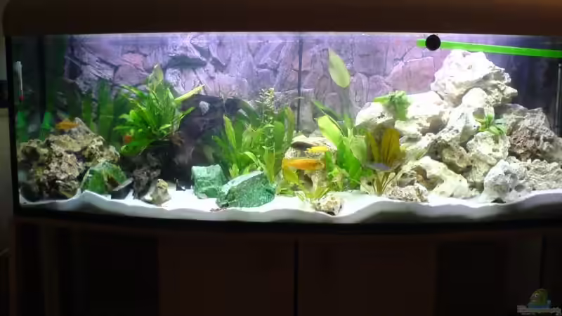 Das neue Becken, noch sehr steril Das neue Becken, noch sehr steril