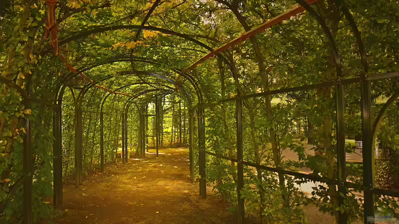 Das sind die beliebtesten Heckenpflanzen bei deutschen Gartenliebhabern