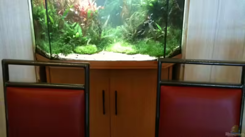 Das Tor in eine andere Welt, Pflanzen Das Tor in eine andere Welt, Pflanzen