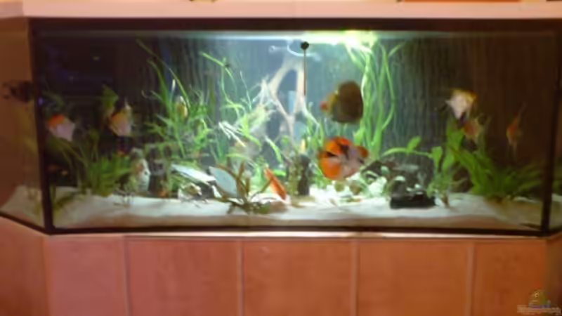 Delta 900 l Delta 900 l