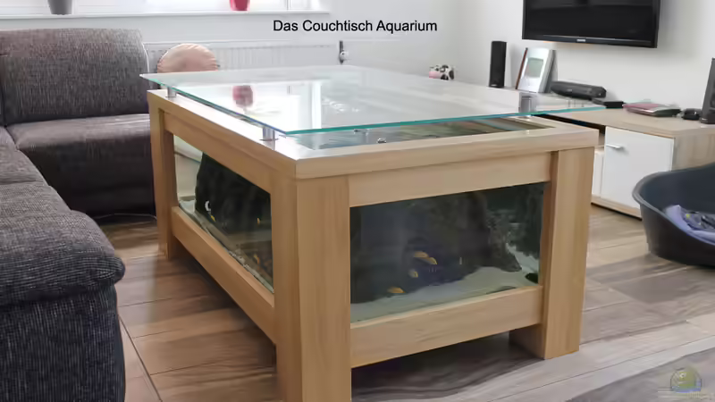 Der Aquarium Couchtisch Der Aquarium Couchtisch