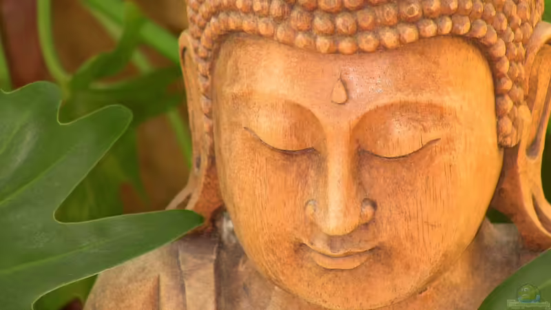 Der Bali-Garten: So gestaltest du den ostasiatischen Wohlfühlraum