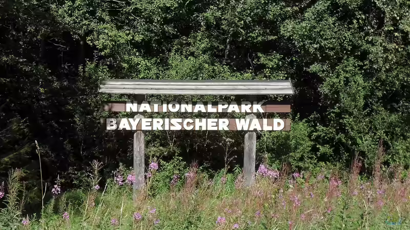 Der Bayerische Wald als Urlaubsziel und Inspiration für Hobbygärtner