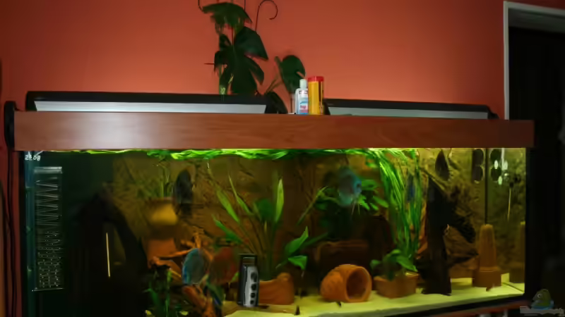 Der erste eindruck,einfach gro??!!!!!! Der erste eindruck,einfach gro??!!!!!!