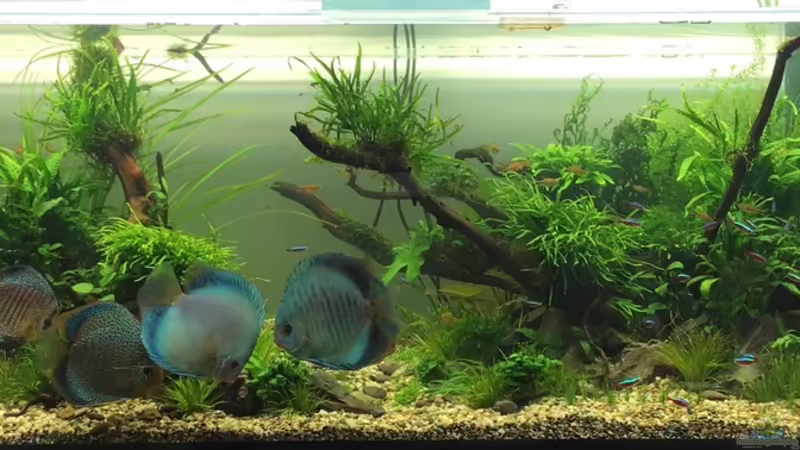 Der erste Eindruck Der erste Eindruck