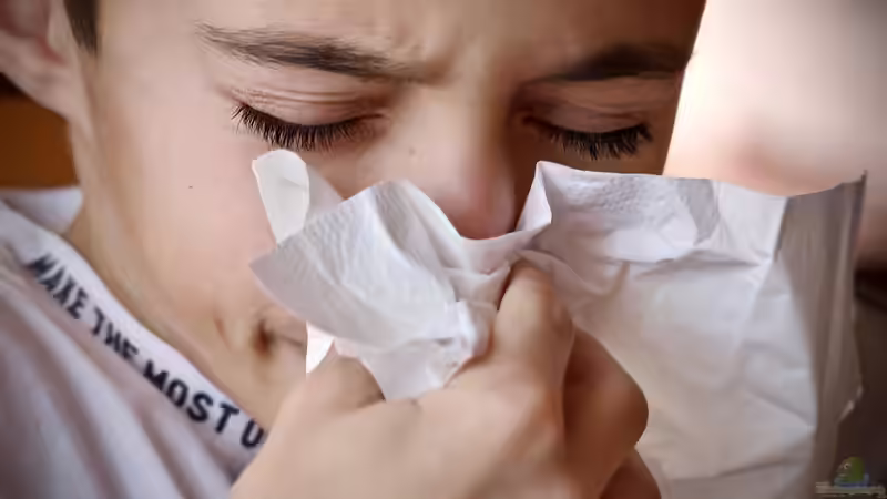 Der Frühling kommt – Tipps und Tricks für Allergiker