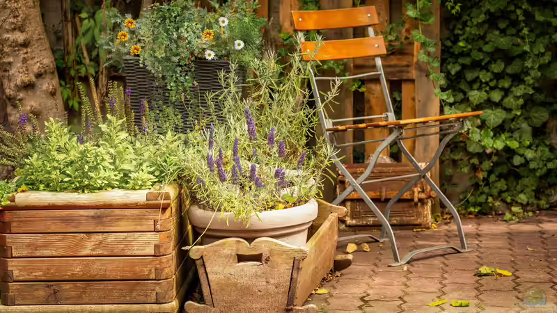 Der ideale Pflanzkübel - Wie du den perfekten Kübel für Garten, Terrasse und Balkon findest