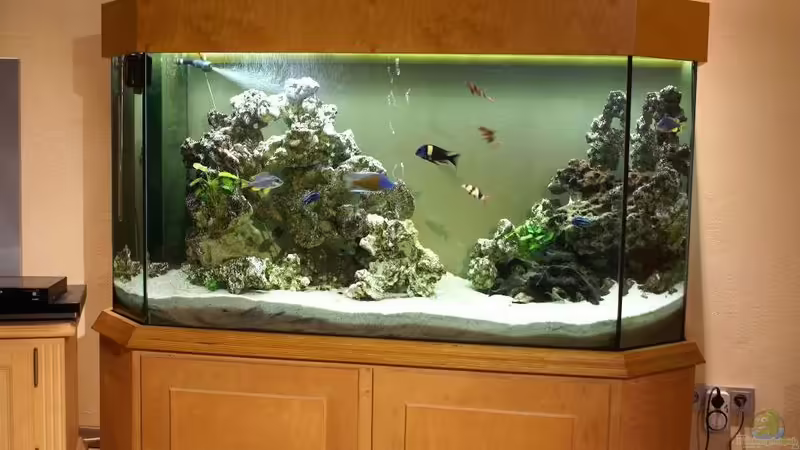 Der ist zusand des beckens Der ist zusand des beckens