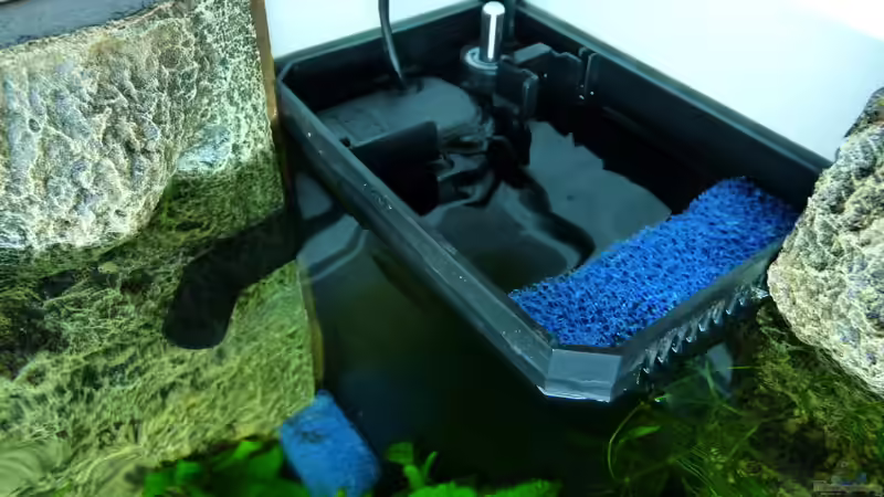 Der Juwel Bioflow: Geliebt und immer wieder entfernt