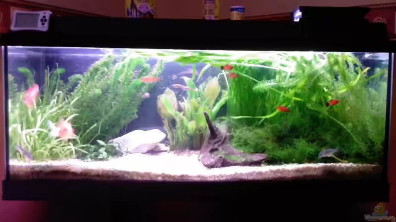 Der Kies wirkt auf dem Foto heller als er ist Der Kies wirkt auf dem Foto heller als er ist