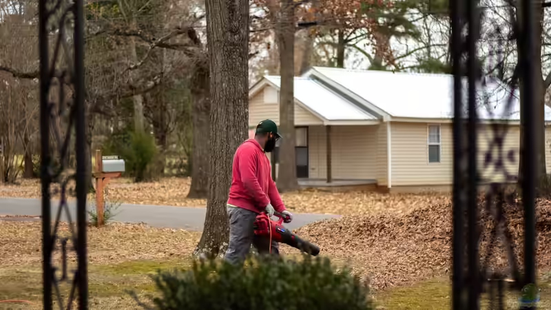 Der Laubbläser: Geliebt und gehasst
