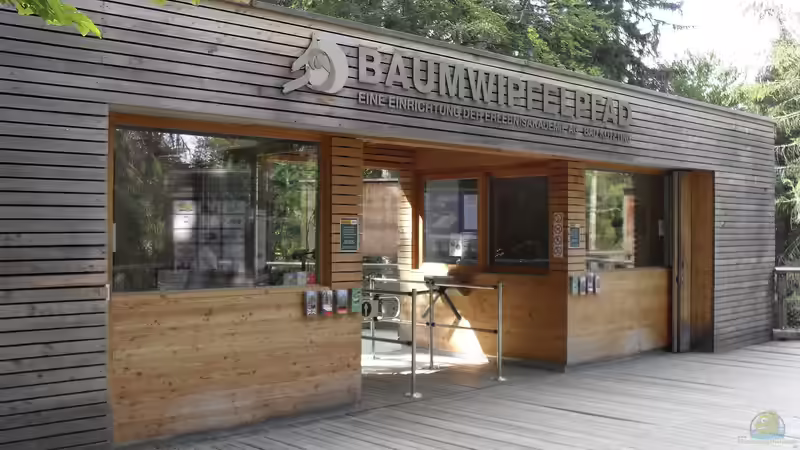 Der Nationalpark Bayerischer Wald - Ein Paradies für Naturfreunde und Abenteurer