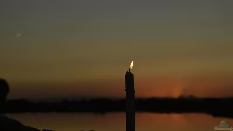 Der Teich bei Nacht - Wer kommt, wenn es dunkel wird?