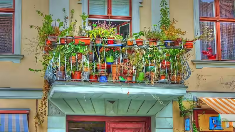 Der Traum vom eigenen Naschgarten auf dem Balkon