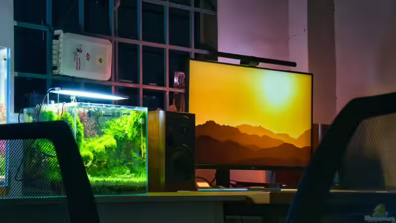 Der Übergang vom traditionellen Aquarium zum Biotop-Aquarium