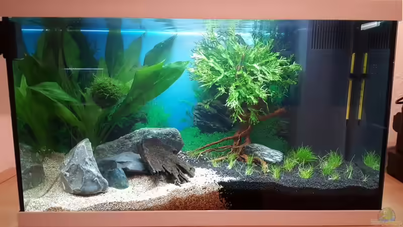 der vierte Streich der vierte Streich