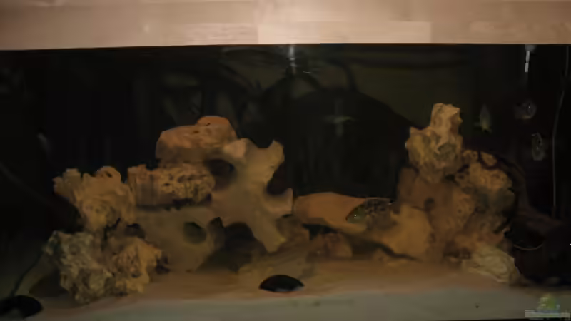 der Wohnzimmerblick der Wohnzimmerblick