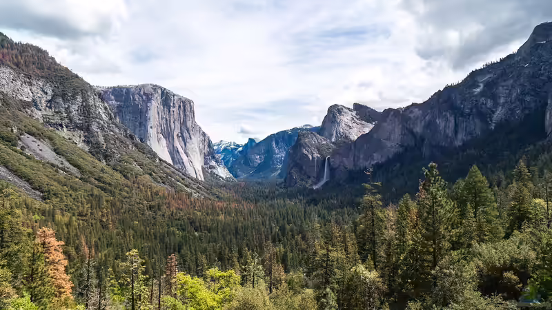 Der Yosemite-Nationalpark für Garten- und Naturliebhaber: Ein Paradies der Pflanzen- und Naturvielfalt