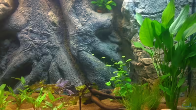 Detailansicht `Woodrock`Rückwand Detailansicht `Woodrock`Rückwand