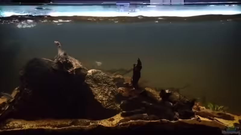 Dezember 2025 Dezember 2025