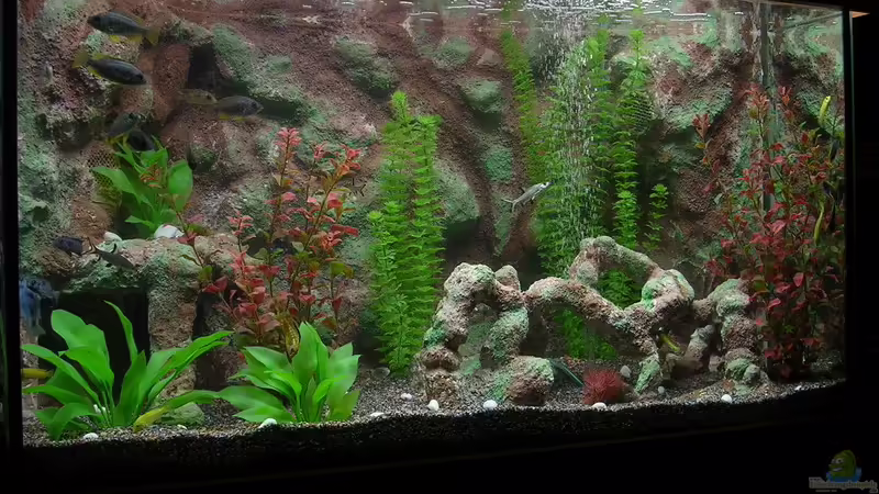 Die Foto ist ganz am Anfang gemacht. Die Foto ist ganz am Anfang gemacht.